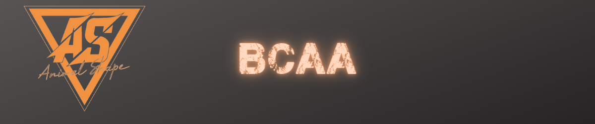 BCAA pour améliorer performances et récupération | ANIMAL SHAPE