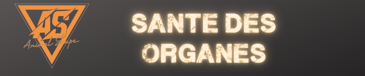 SANTE DES ORGANES